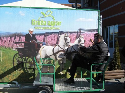 "Gruža 2020" - savetovanje voćara zavidnog rejtinga