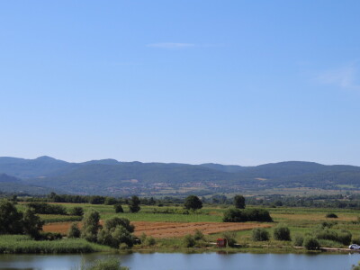 Gruža Agrar projektiranje i podizanje voćnjaka