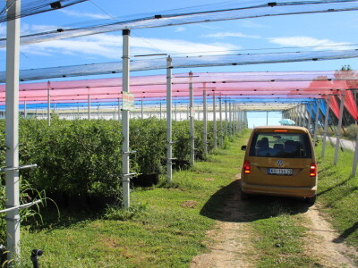Gruža Agrar projektiranje i podizanje voćnjaka
