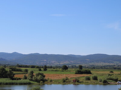 Gruža Agrar projektiranje i podizanje voćnjaka