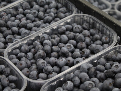 Gruža agrar, voćnjaci i hladnjača