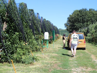 Gruža agrar, voćnjaci i hladnjača
