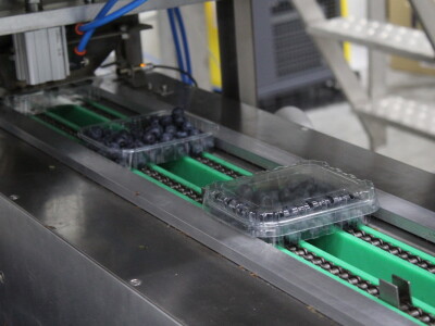 Gruža agrar, voćnjaci i hladnjača