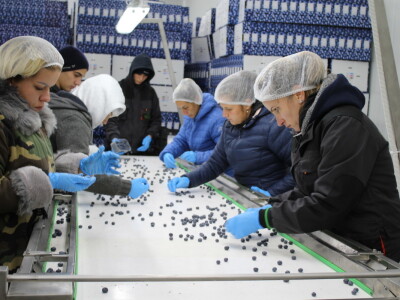 Gruža agrar, voćnjaci i hladnjača