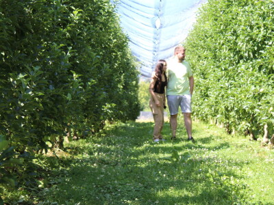 Gruža agrar, voćnjaci i hladnjača