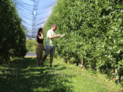 Gruža agrar, voćnjaci i hladnjača