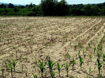 Gruža posle poplava