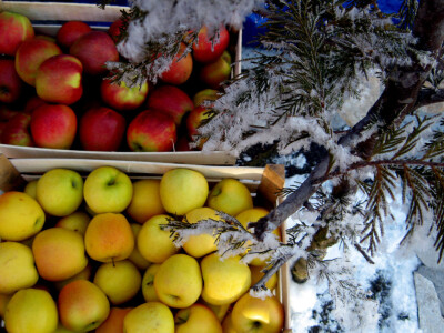 Savetovanje okupilo najviše proizvođača jabuka