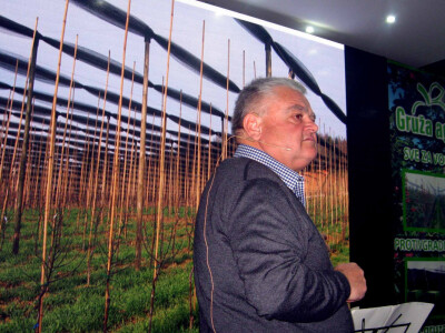 Prof. dr Franci Štampar