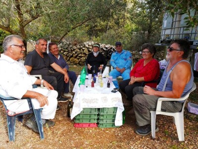 TEKUĆE ZLATO  U PETRČANIMA -  Kapetani duge plovidbe u berbi maslina Vilima Gržana