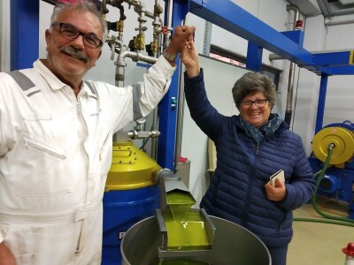 TEKUĆE ZLATO  U PETRČANIMA -  Kapetani duge plovidbe u berbi maslina Vilima Gržana