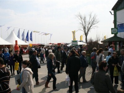 Lijepo vrijeme i veliki broj posjetitelja