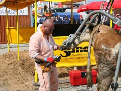 Prezentacija uređivanja papaka