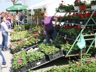 17. Međunarodni proljetni sajam u Bjelovaru