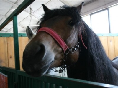 17. Međunarodni proljetni sajam u Bjelovaru