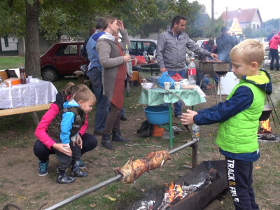 Posetioci Guščijade