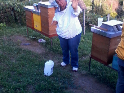 Pčelinjaci se nalaze u Podavini i na Bilogori