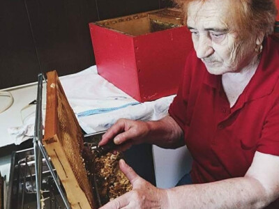 Ni pomoć bake Marije nije za odbaciti