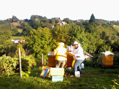 Rad u prirodi opušta i smiruje