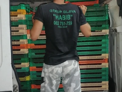 Habib