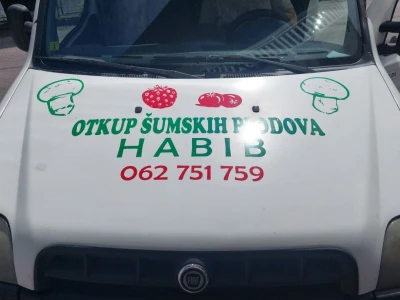Habib