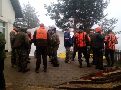 Hajka na vuka na Zlatiboru