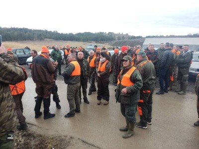 Hajka na vuka - Zlatibor 2024