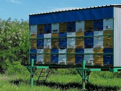 Halil Kurtović, inovator koji je olakšao rad mnogim pčelarima