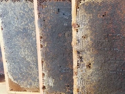 Halil Kurtović, inovator koji je olakšao rad mnogim pčelarima