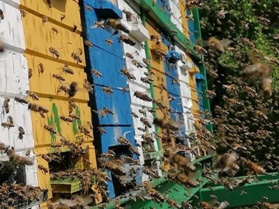 Halil Kurtović, inovator koji je olakšao rad mnogim pčelarima