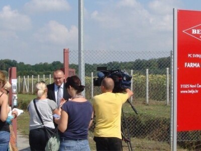 Farma za proizvodnju i tov prasadi, Haljevo