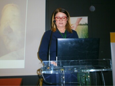 HAPIH: 17. savjetovanje uzgajivača svinja