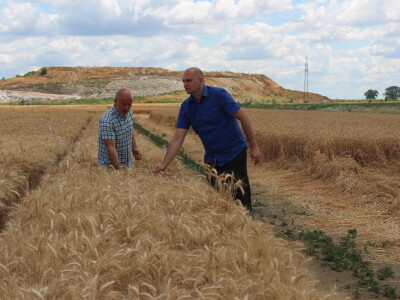 HAPIH  dan otvorenih vrata