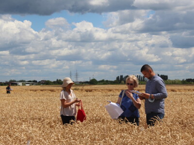 HAPIH  dan otvorenih vrata