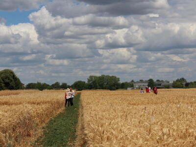 HAPIH  dan otvorenih vrata