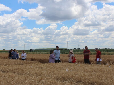 HAPIH  dan otvorenih vrata