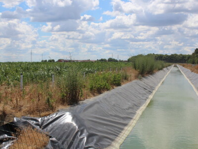 HAPIH  dan otvorenih vrata