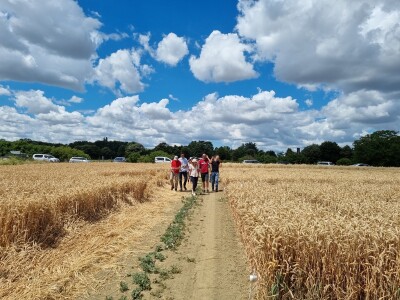 HAPIH  dan otvorenih vrata