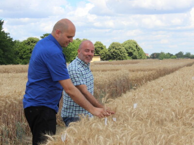 HAPIH  dan otvorenih vrata