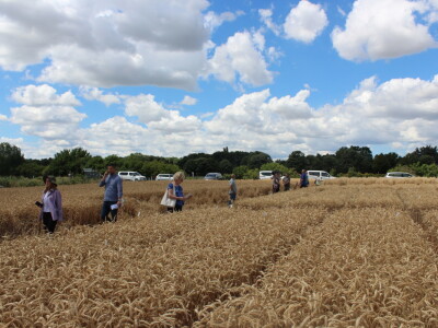 HAPIH  dan otvorenih vrata