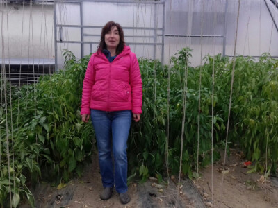 Željkica u plasteniku s paprikom