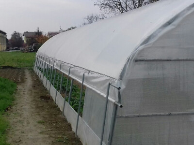 Pod plastenicima je 280 m2