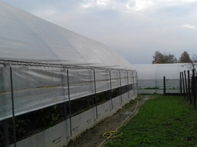 Drugi je kupljen novcem iz Programa ruralnoga razvoja