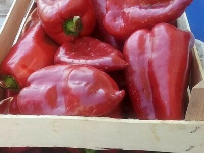 Hatidža Ćatić: Najvažnije je jedinstvo, i u porodici, i u radu