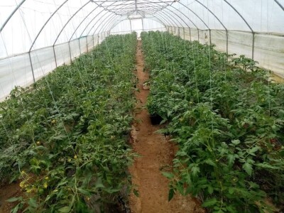 Hatidža Ćatić: Najvažnije je jedinstvo, i u porodici, i u radu