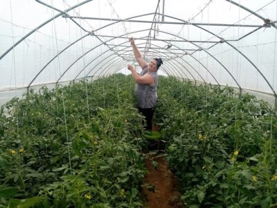 Hatidža Ćatić: Najvažnije je jedinstvo, i u porodici, i u radu