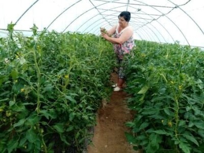 Hatidža Ćatić: Najvažnije je jedinstvo, i u porodici, i u radu