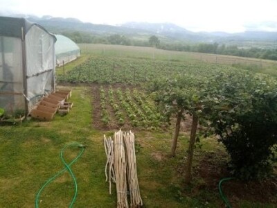 Hatidža Ćatić: Najvažnije je jedinstvo, i u porodici, i u radu