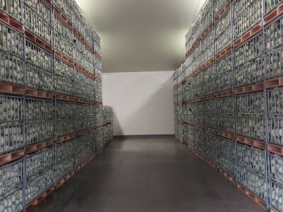 Hazera Dani otvorenih polja u Warmenhuizenu