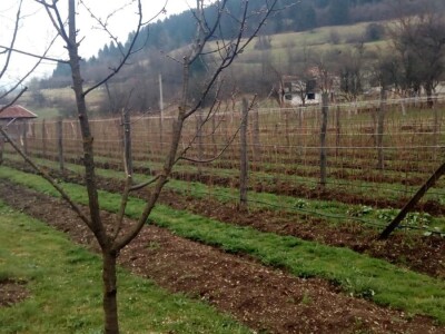 Hazim i Nihada Ljubunčić: Za poljoprivredu je najvažnije uzgajati više kultura